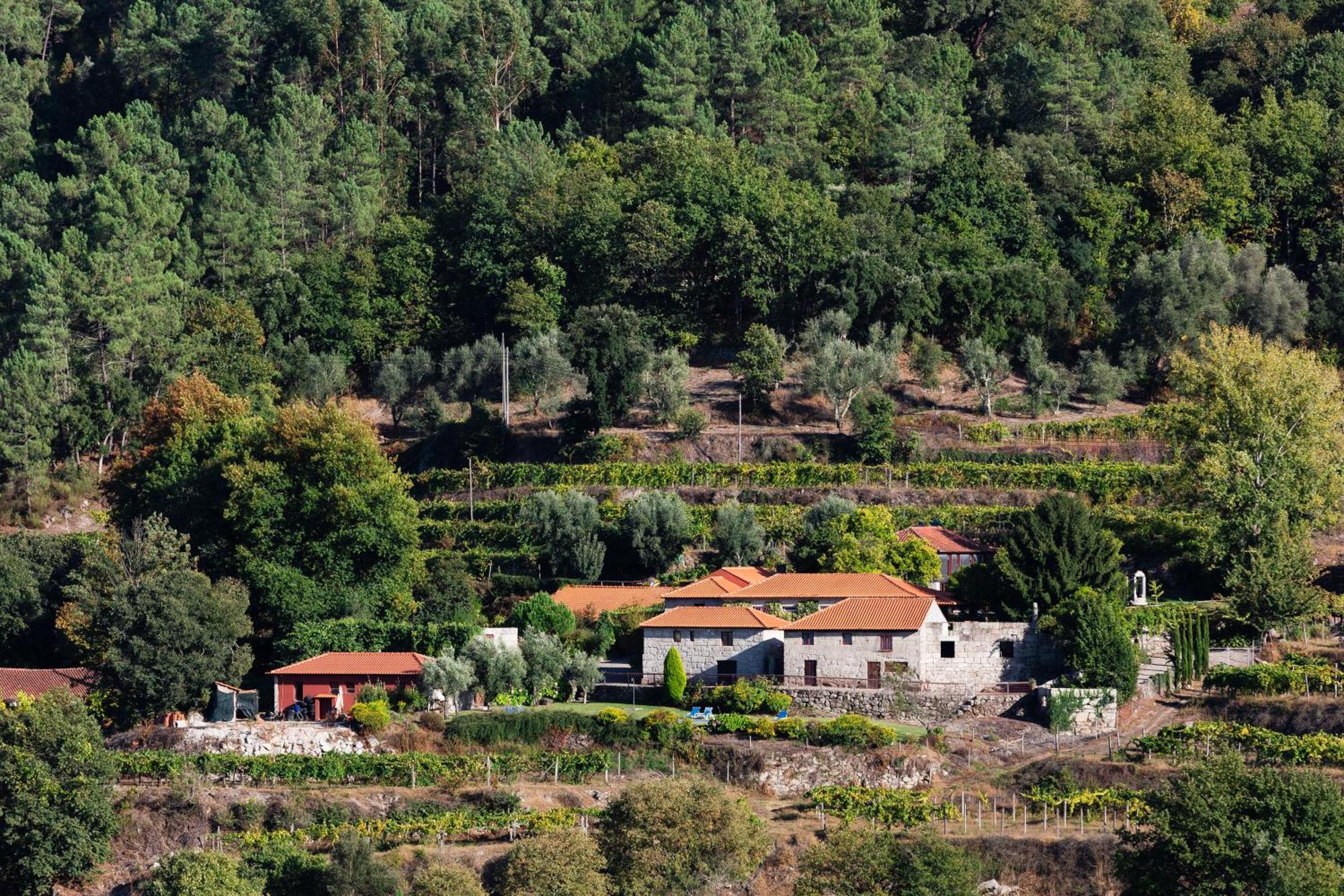 Гостевой дом Quinta Da Pousadela - Agroturismo Амаранте Экстерьер фото