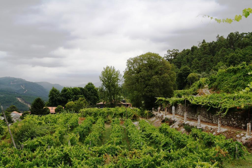 Quinta Da Pousadela - Agroturismo Амаранте Экстерьер фото